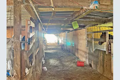 12623 Ann Louise Road, Houston, TX 77086 - Photo 3