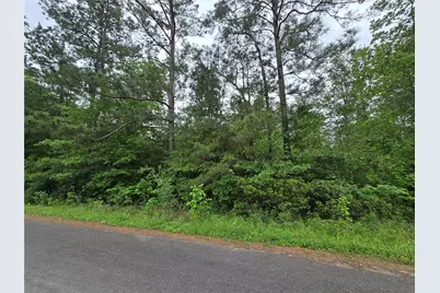 Tbd Eastepp Road, Livingston, TX 77351 - Photo 1