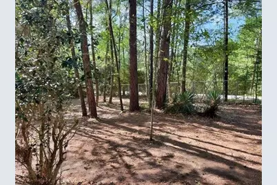 123 Sea Gull Drive, Livingston, TX 77351 - Photo 23