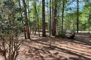 123 Sea Gull Dr, Livingston, TX 77351 - Photo 23