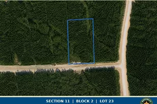 15979 Frst Grv Dr, Willis, TX 77378 - Photo 1