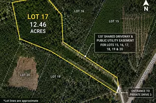 00 Richardson Road E, Livingston, TX 77351 - Photo 1