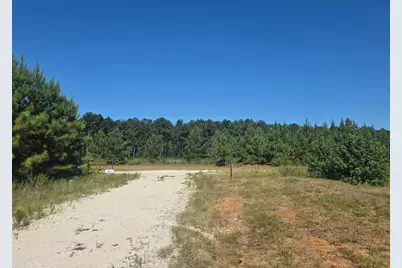 00 Richardson Road E, Livingston, TX 77351 - Photo 5