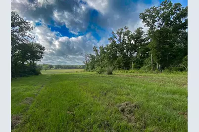 4610 County Road 426, Marquez, TX 77865 - Photo 9