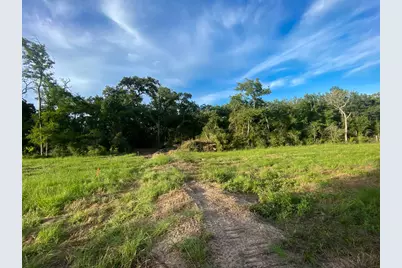 4610 County Road 426, Marquez, TX 77865 - Photo 5