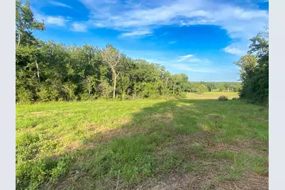 4610 County Road 426, Marquez, TX 77865 - Photo 11