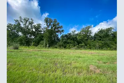 4610 County Road 426, Marquez, TX 77865 - Photo 15