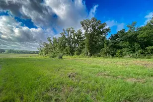 4610 Co Rd 426, Marquez, TX 77865 - Photo 1