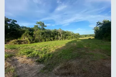 4610 County Road 426, Marquez, TX 77865 - Photo 13