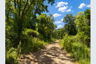 4610 County Road 426, Marquez, TX 77865 - Photo 17