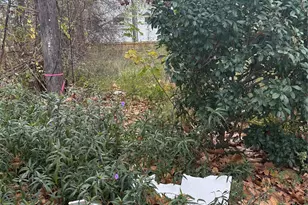 1712 Moody St, Houston, TX 77009 - Photo 3