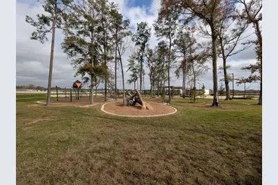 18061 Trepito Avenue, New Caney, TX 77357 - Photo 41
