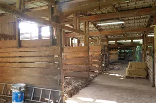 26318 Hardin Store Rd, Magnolia, TX 77354 - Photo 21