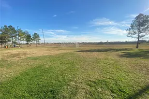 8310 Rose Petals Ln, Rosharon, TX 77583 - Photo 37