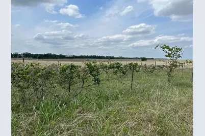 000 County Road 269 Road, Oglesby, TX 76561 - Photo 13