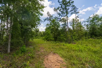 00 Cr 4040, Woodville, TX 75979 - Photo 3