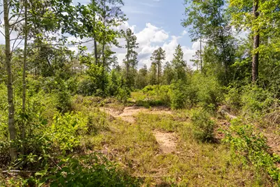 00 Cr 4040, Woodville, TX 75979 - Photo 21