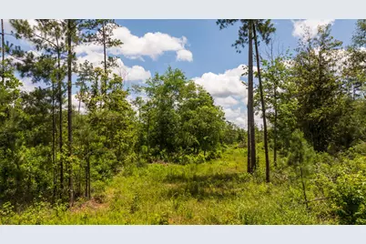 00 Cr 4040, Woodville, TX 75979 - Photo 27