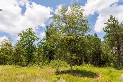 00 Cr 4040, Woodville, TX 75979 - Photo 7