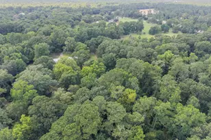 10291 Hart Rd, Conroe, TX 77306 - Photo 9