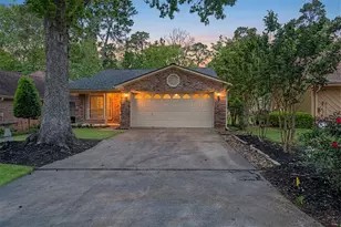 169 April Wind Ct, Montgomery, TX 77356 - Photo 1