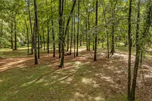 17203 Gold Panning Ct, Magnolia, TX 77355 - Photo 37
