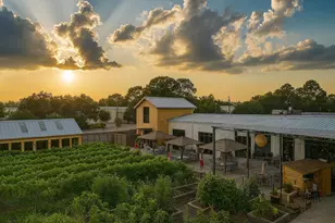 10422 Raritan Dr, Houston, TX 77043 - Photo 29