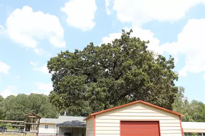 14040 Fm 1484 Road, Conroe, TX 77303 - Photo 41