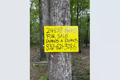 24838 Marks Road, Splendora, TX 77372 - Photo 3