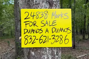 24838 Marks Rd, Splendora, TX 77372 - Photo 3