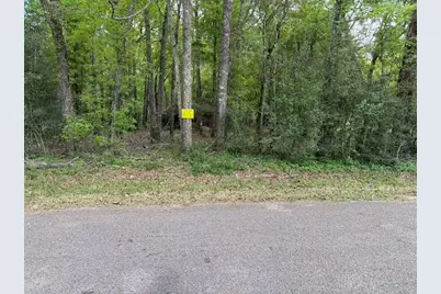 24838 Marks Road, Splendora, TX 77372 - Photo 1