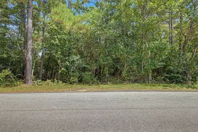 0 Bilnoski Road, Willis, TX 77378 - Photo 27