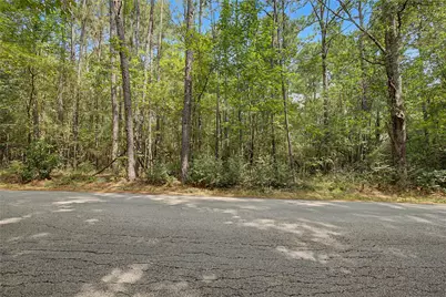 0 Bilnoski Road, Willis, TX 77378 - Photo 33