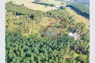 211 Thomas Windt Road, Shepherd, TX 77371 - Photo 1