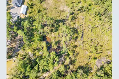 211 Thomas Windt Road, Shepherd, TX 77371 - Photo 5