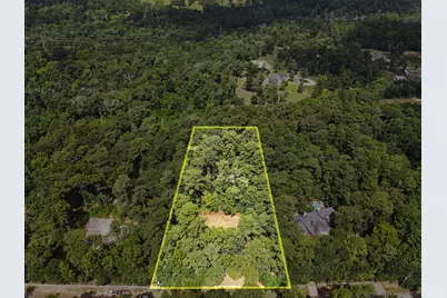 7393 Teaswood Drive, Conroe, TX 77304 - Photo 7