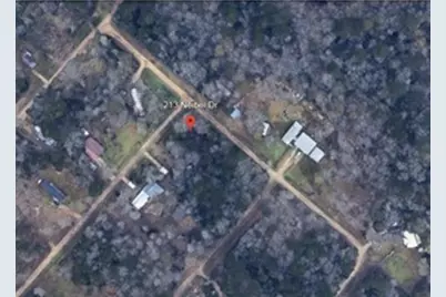 213 Neibel Drive, Livingston, TX 77351 - Photo 3