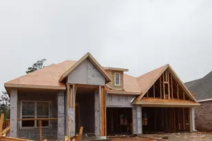 346 Wild Frk Ct, Conroe, TX 77304 - Photo 11