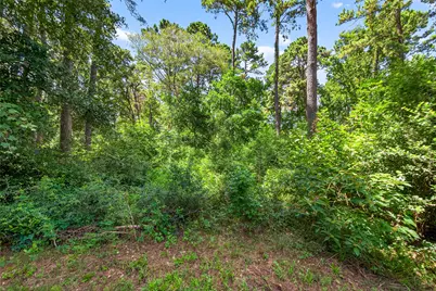 0 Colquitt Road, New Waverly, TX 77358 - Photo 7