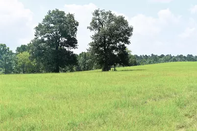 8034 E County Road 212, Buffalo, TX 75831 - Photo 5