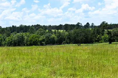 8034 E County Road 212, Buffalo, TX 75831 - Photo 17