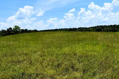 8034 E County Road 212, Buffalo, TX 75831 - Photo 19