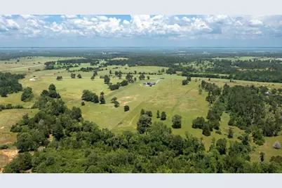 8034 E County Road 212, Buffalo, TX 75831 - Photo 5