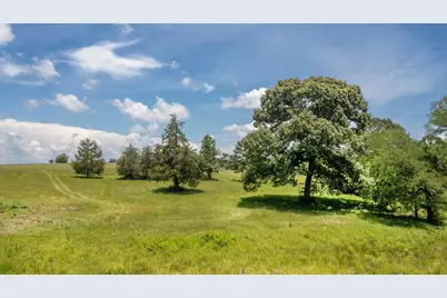 8034 E County Road 212, Buffalo, TX 75831 - Photo 9