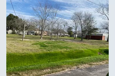 Tbd Plum Street, Bedias, TX 77831 - Photo 1