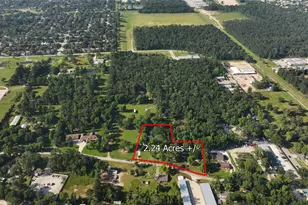 11291-2 Darby-2 Loop, Conroe, TX 77385 - Photo 21