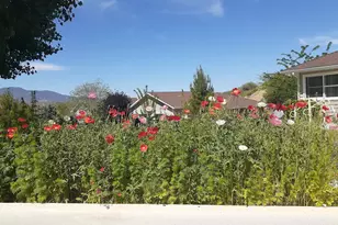 1039 E Saguaro Dr, Other, AZ 85501 - Photo 9