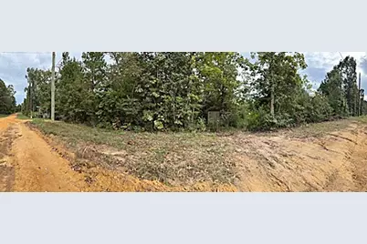 286 Stacy Wiggins Drive, Livingston, TX 77351 - Photo 5