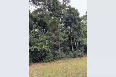 147 Neel Road, Livingston, TX 77351 - Photo 15