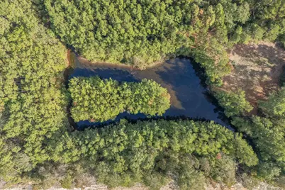 147 Neel Road, Livingston, TX 77351 - Photo 17